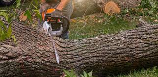 Best Landscape Design and Installation  in Glendora, CA