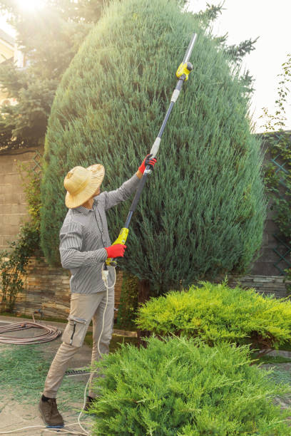 Best Lawn Grading and Leveling  in Glendora, CA